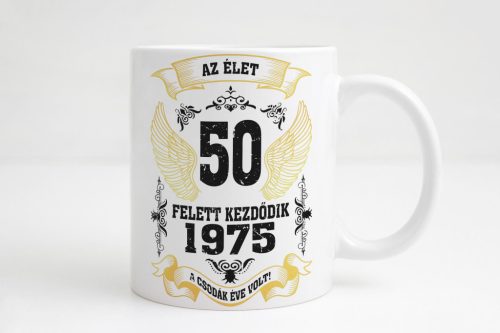 Az élet x felett kezdődik bögre (választható kor)
