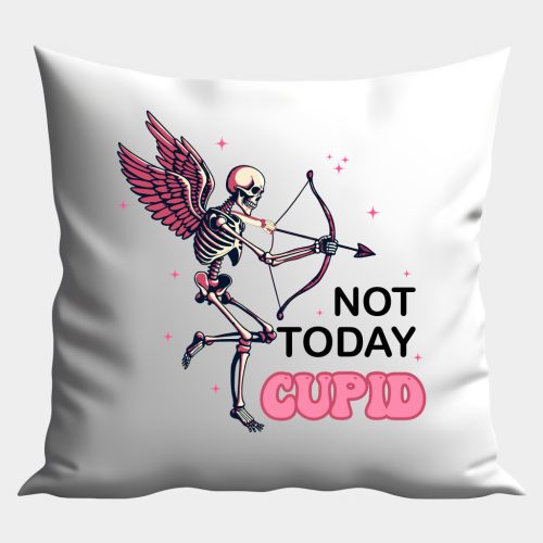 NOT TODAY CUPID (2) párna
