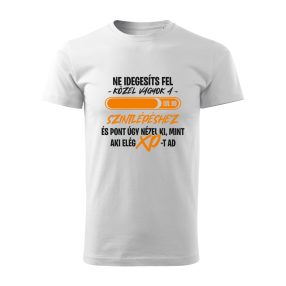   Ne idegesíts fel, közel vagyok a szintlépéshez férfi póló (válaszható kor)