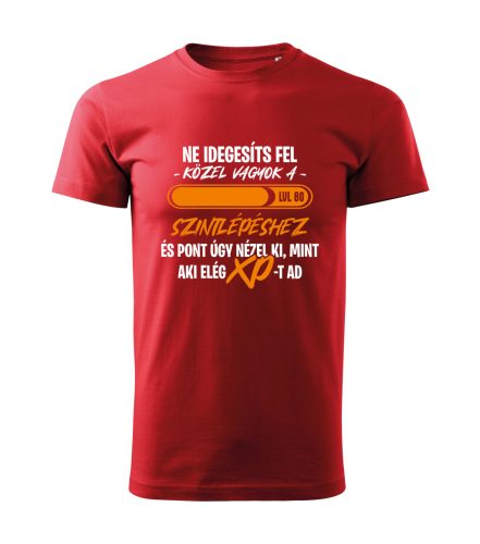 Ne idegesíts fel, közel vagyok a szintlépéshez férfi póló (válaszható kor)
